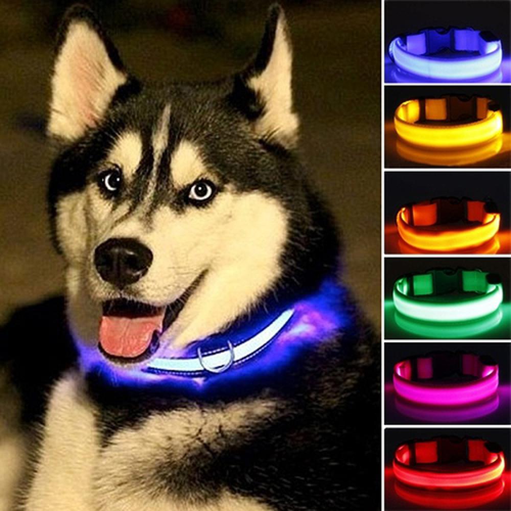 LED Dog Anti-lost Collar Glowi - Tech Dog Accessories ulasan dan harga