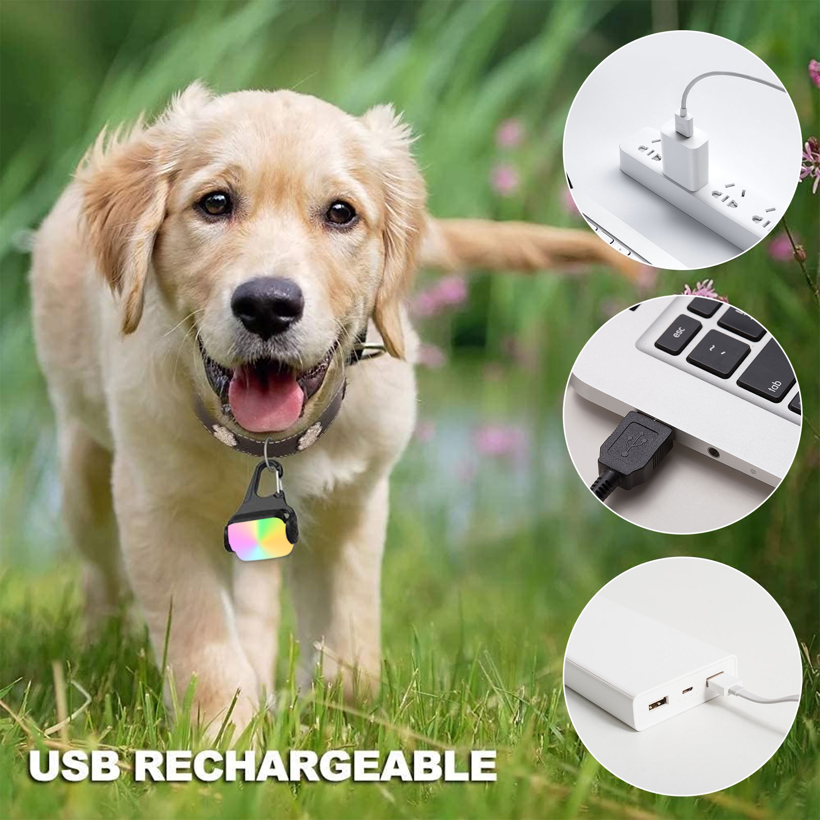2 Pack LED Dog Collar Light Pe - Tech Dog Accessories ulasan dan harga